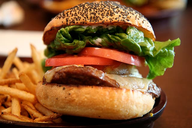 A Brief History of the Hamburger [infographic]