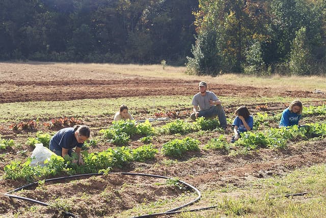 kids farming