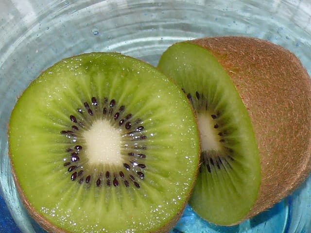 kiwi