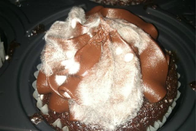 Lance Bass posts furry cupcake picture. 