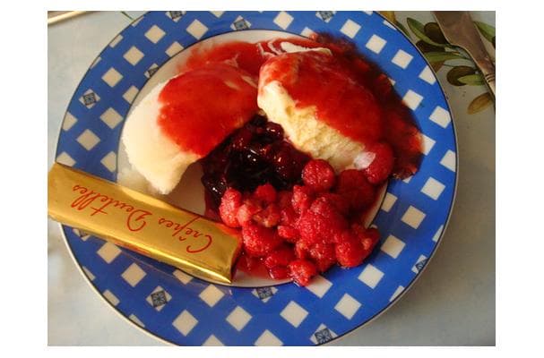 Lemon Sorbet and Raspberry Coulis