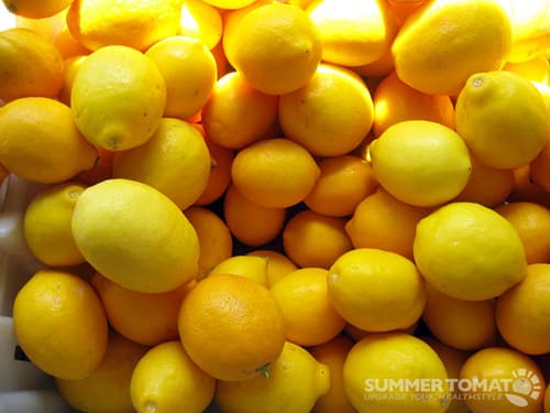 Seasonal Sunday April 24 - 30