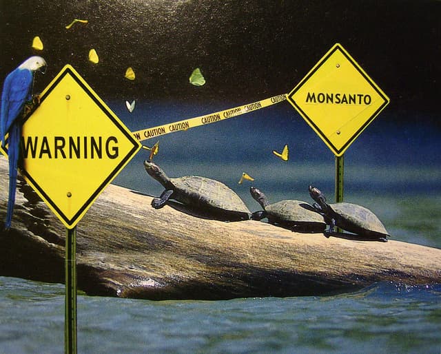 Monsanto