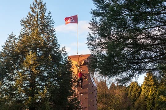 Rocky Biscuits Chocolate Rock Climbing Wall