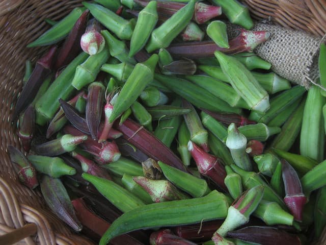 okra