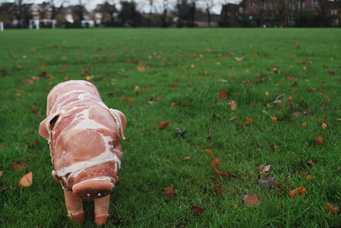 piglet bacon and sausages