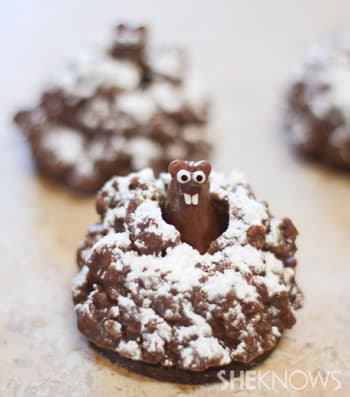 Pop-Up Groundhog Cookies will Tell You If Winter's Here to Stay