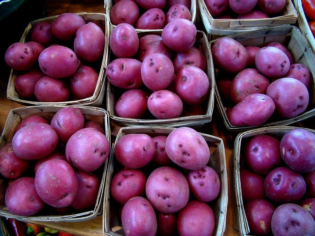 purple potato