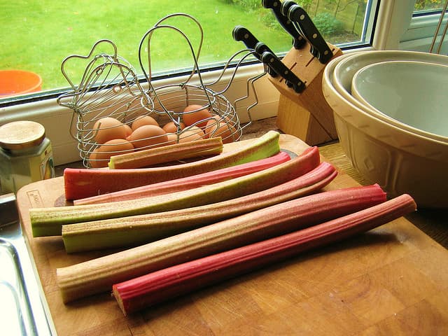 rhubarb