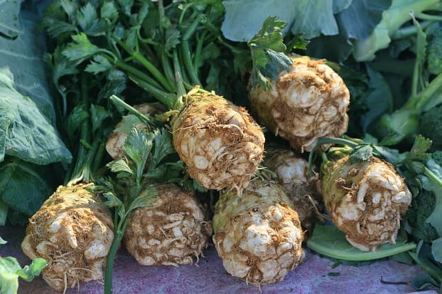 celery root puree