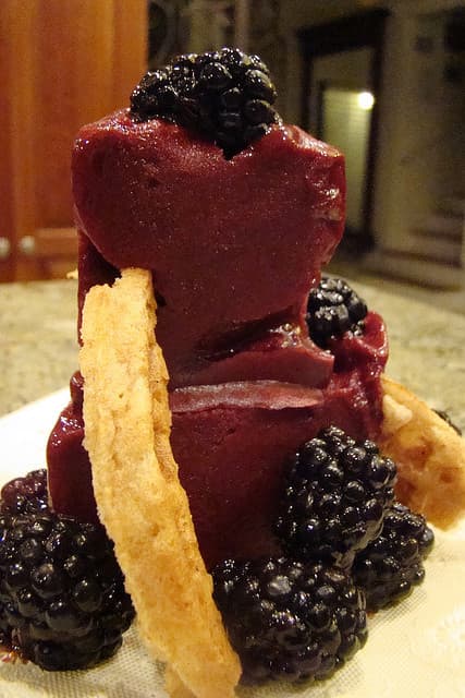blackberry sorbet