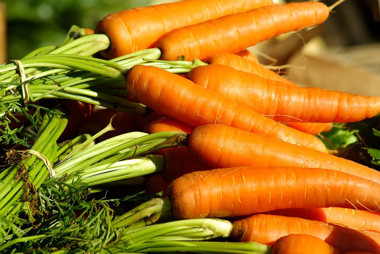 Grow Your Own: Sweet Carrots
