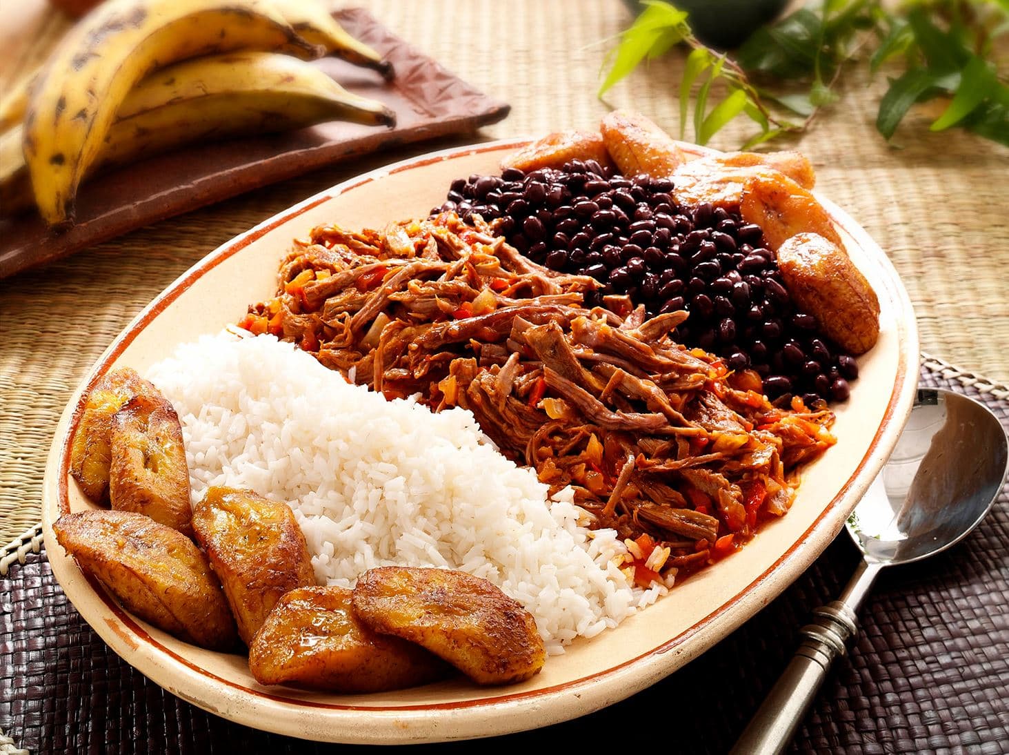 Venezuelan Pabellón Criollo