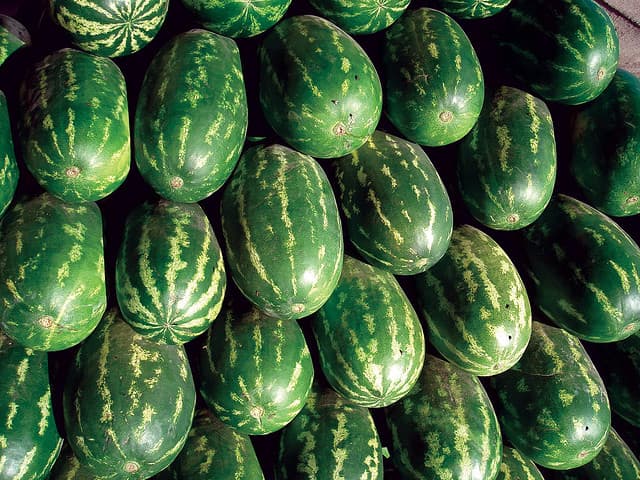 Exploding Watermelons Latest Chinese Food Crisis 