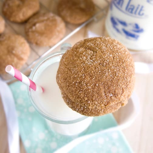 Fat Free Gingerbread Cookies