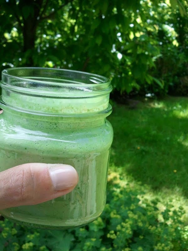 Skinny Green Monster Smoothie
