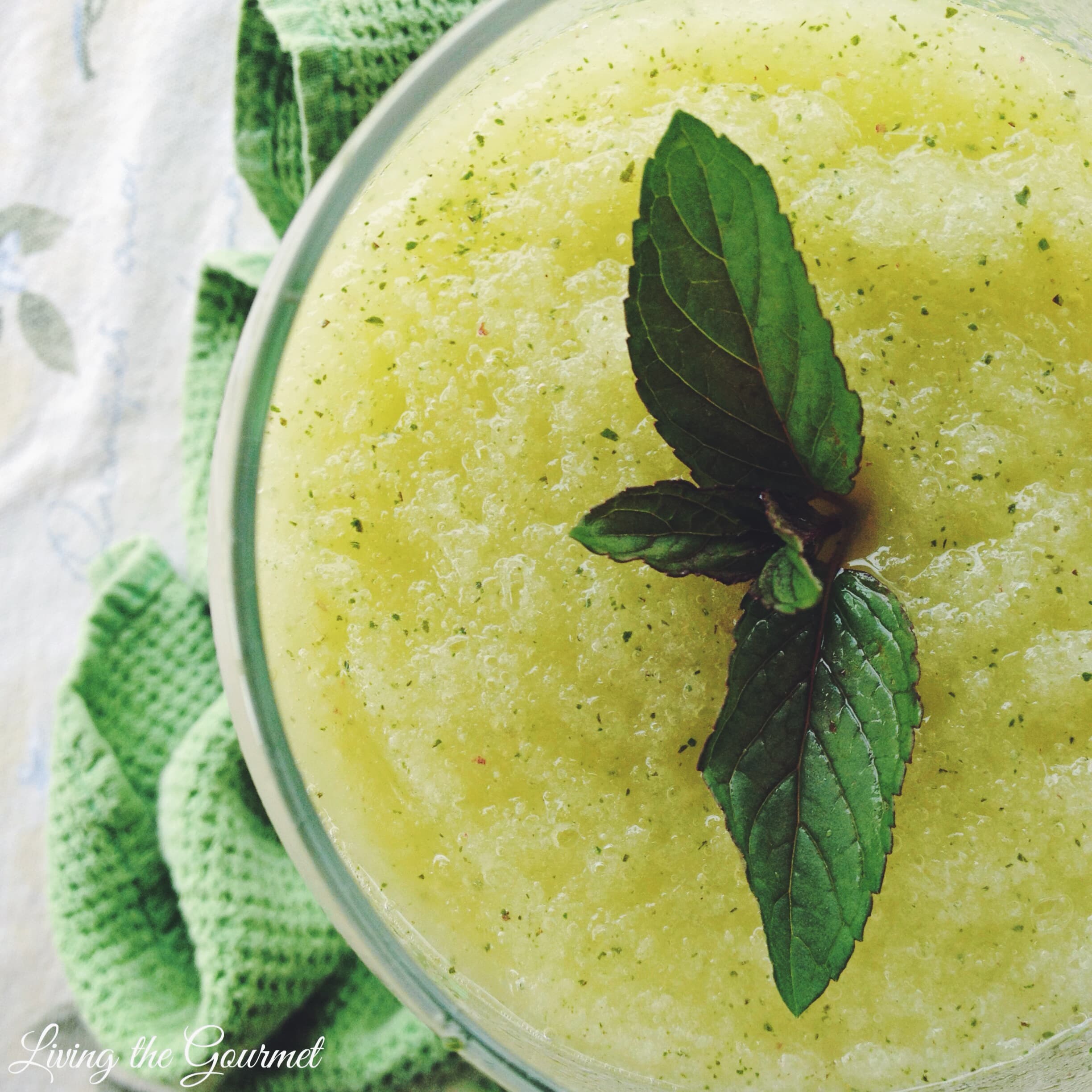 Orange Ginger Mint Frosty