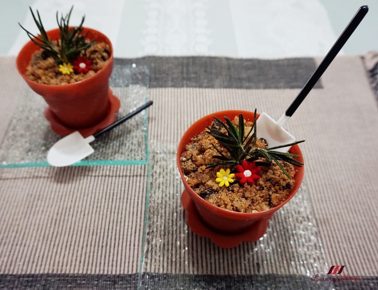 Salted Caramel Potted Plant Ice Cream