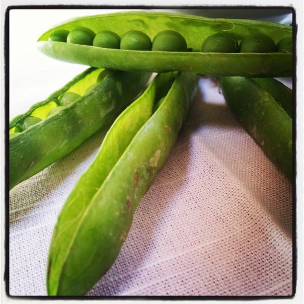 pasta with spring peas, mushrooms & greens
