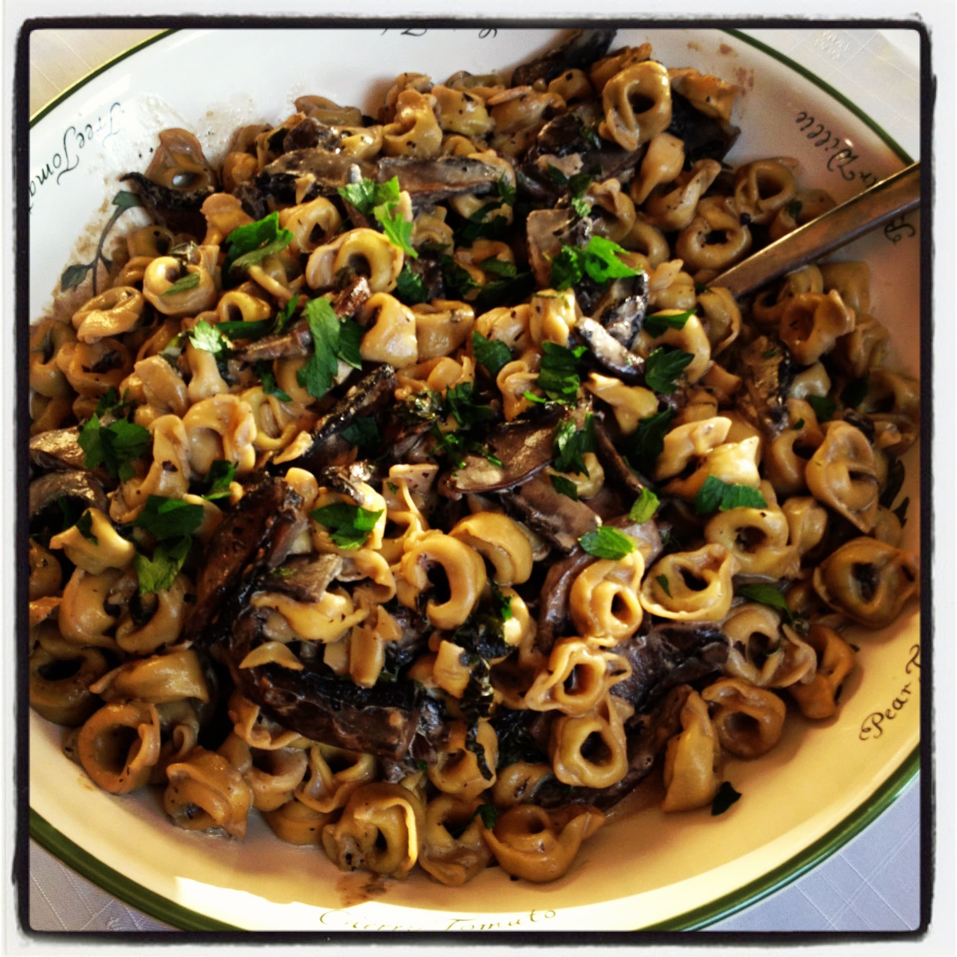 Tortellini in a Portobello Mushroom Cream Sauce