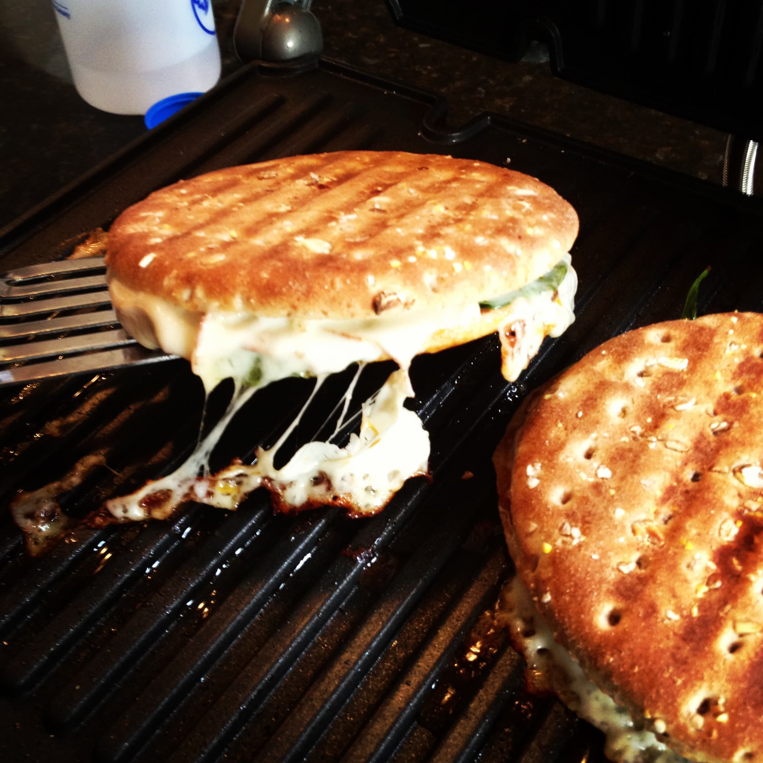 Turkey, Spinach, Mozzarella & Sun Dried Tomato Panini