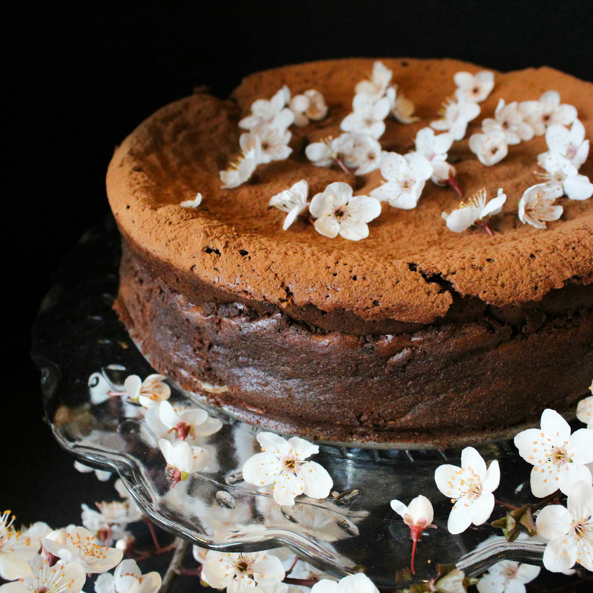 Plum Blossom Chocolate Torte
