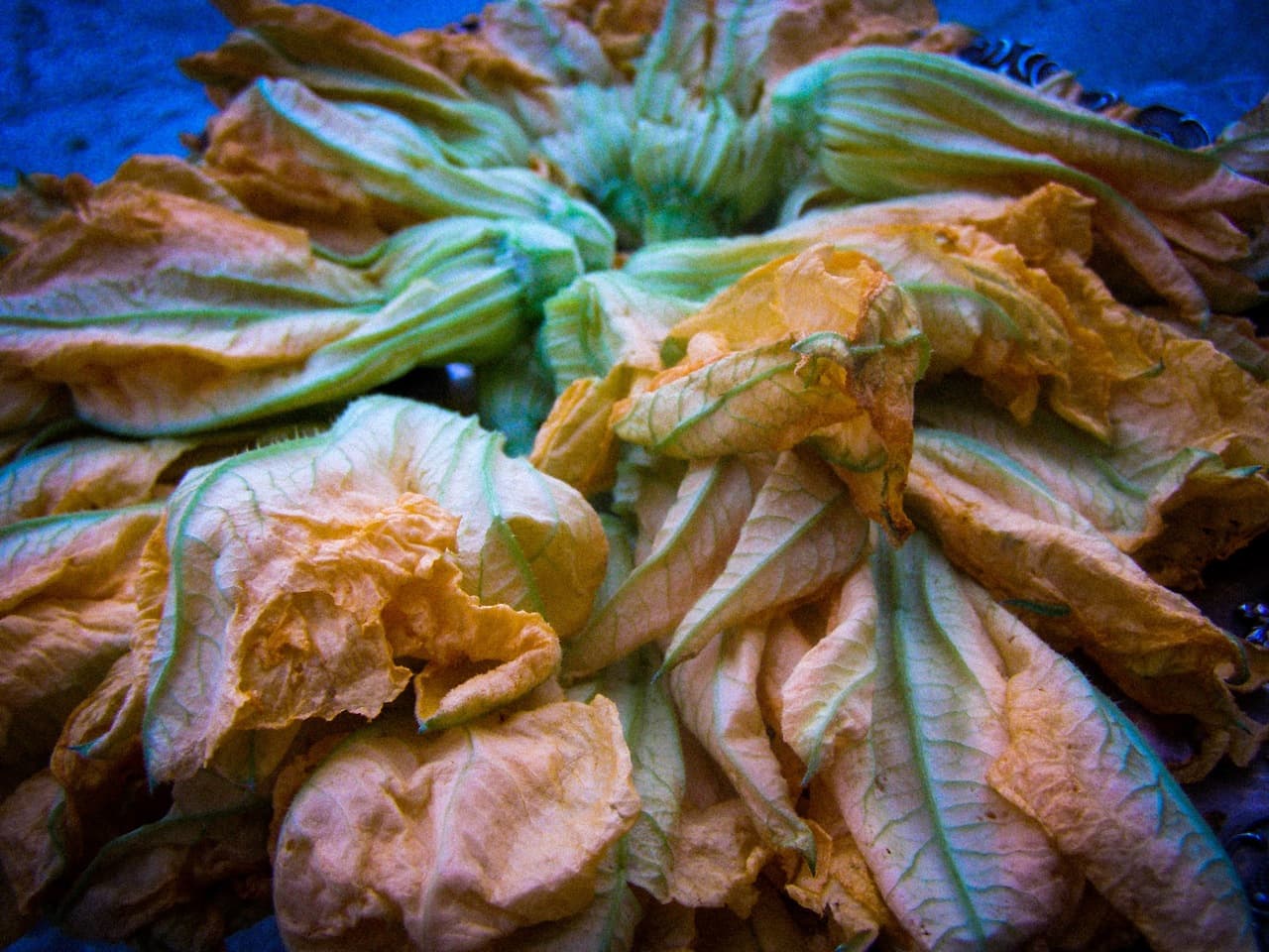 Fried Squash Blossoms