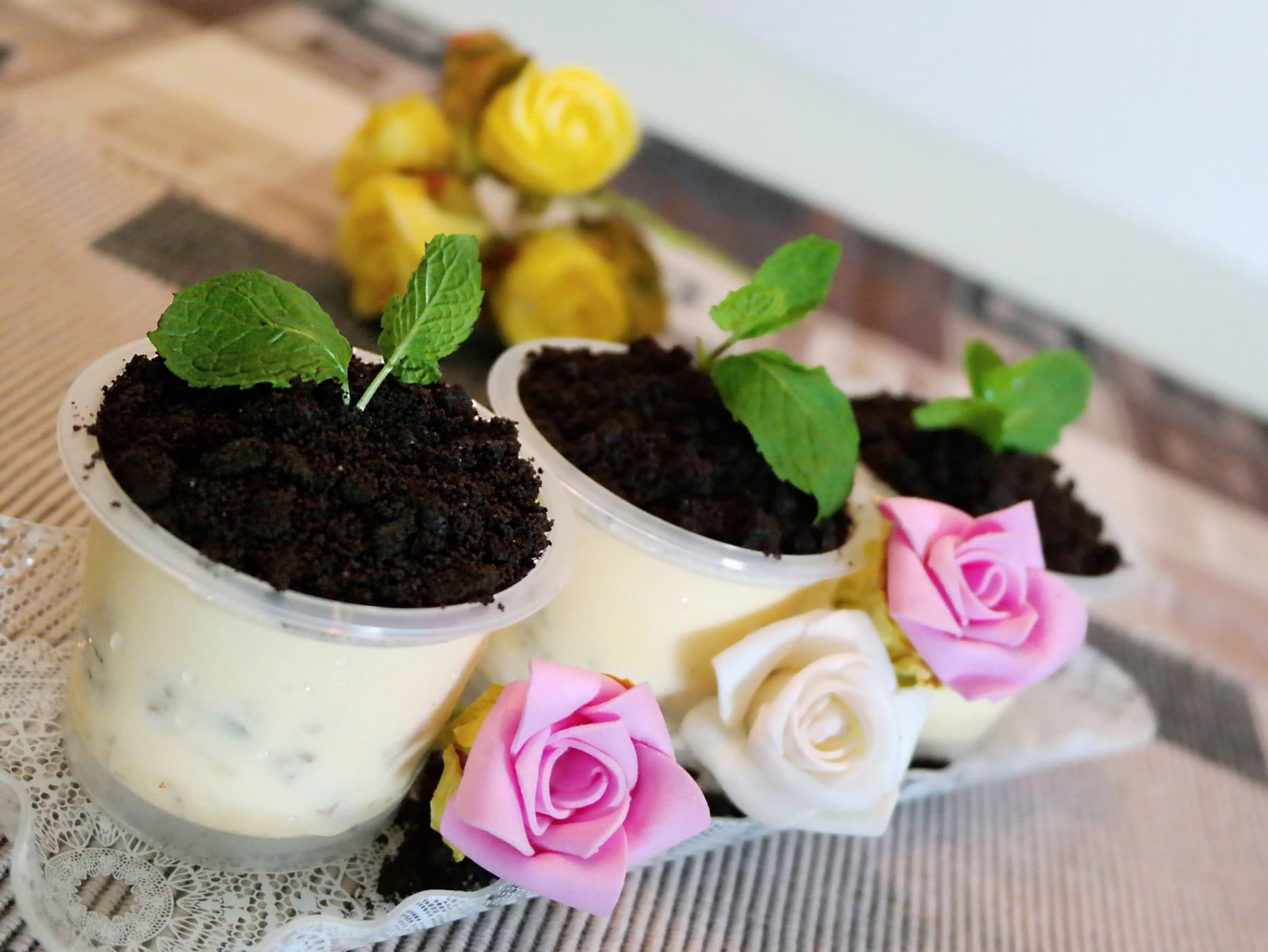 Valentine's Day Potted Plant Ice-Cream Desserts