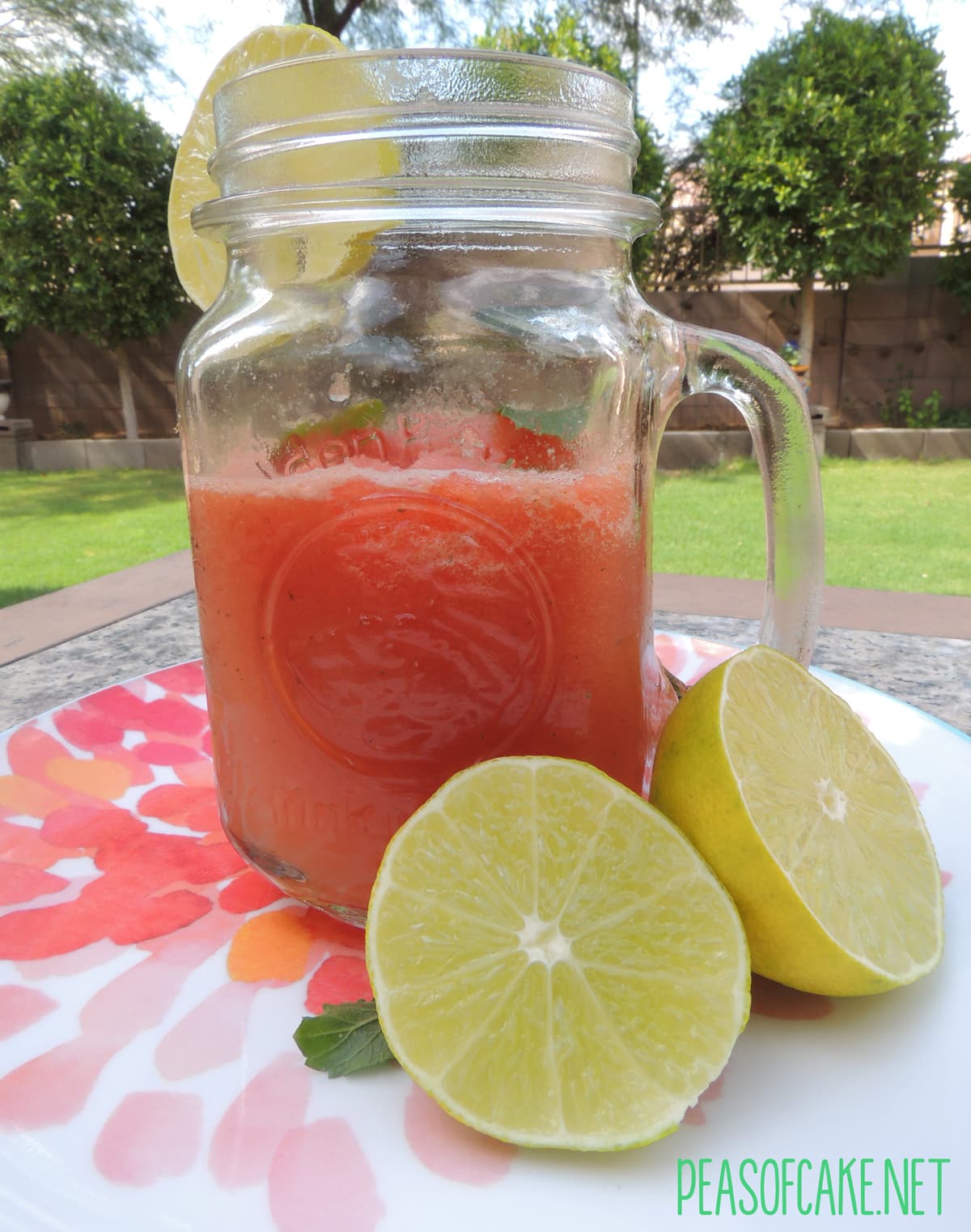Watermelon Mojito Smoothie