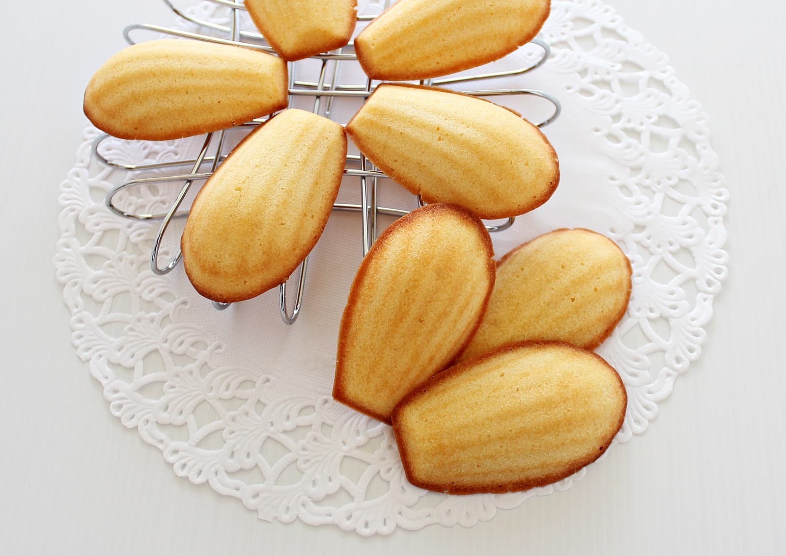 Yoghurt Honey Madeleines