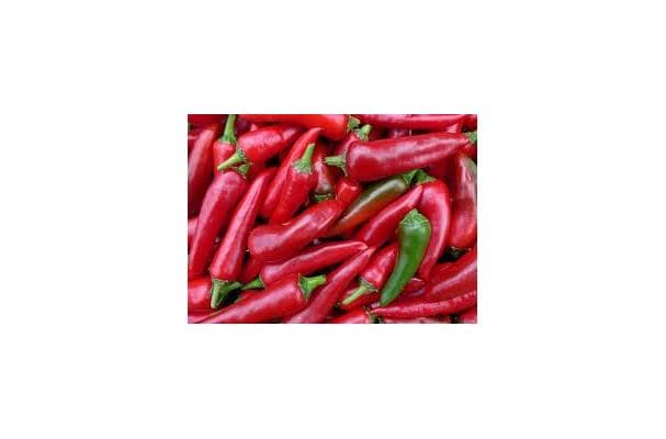 Red Chili Pepper
