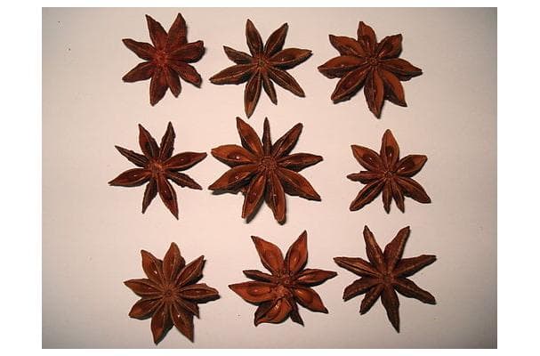 Star Anise Seed