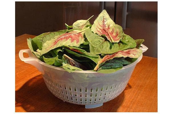 Amaranth Leaves