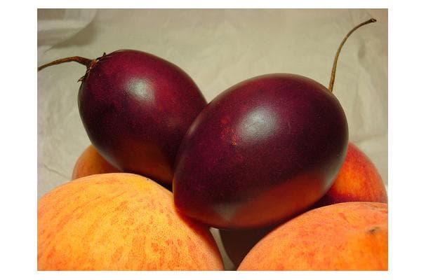 Tamarillo