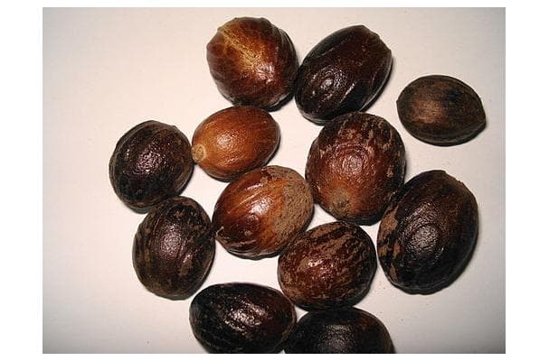 Nutmeg