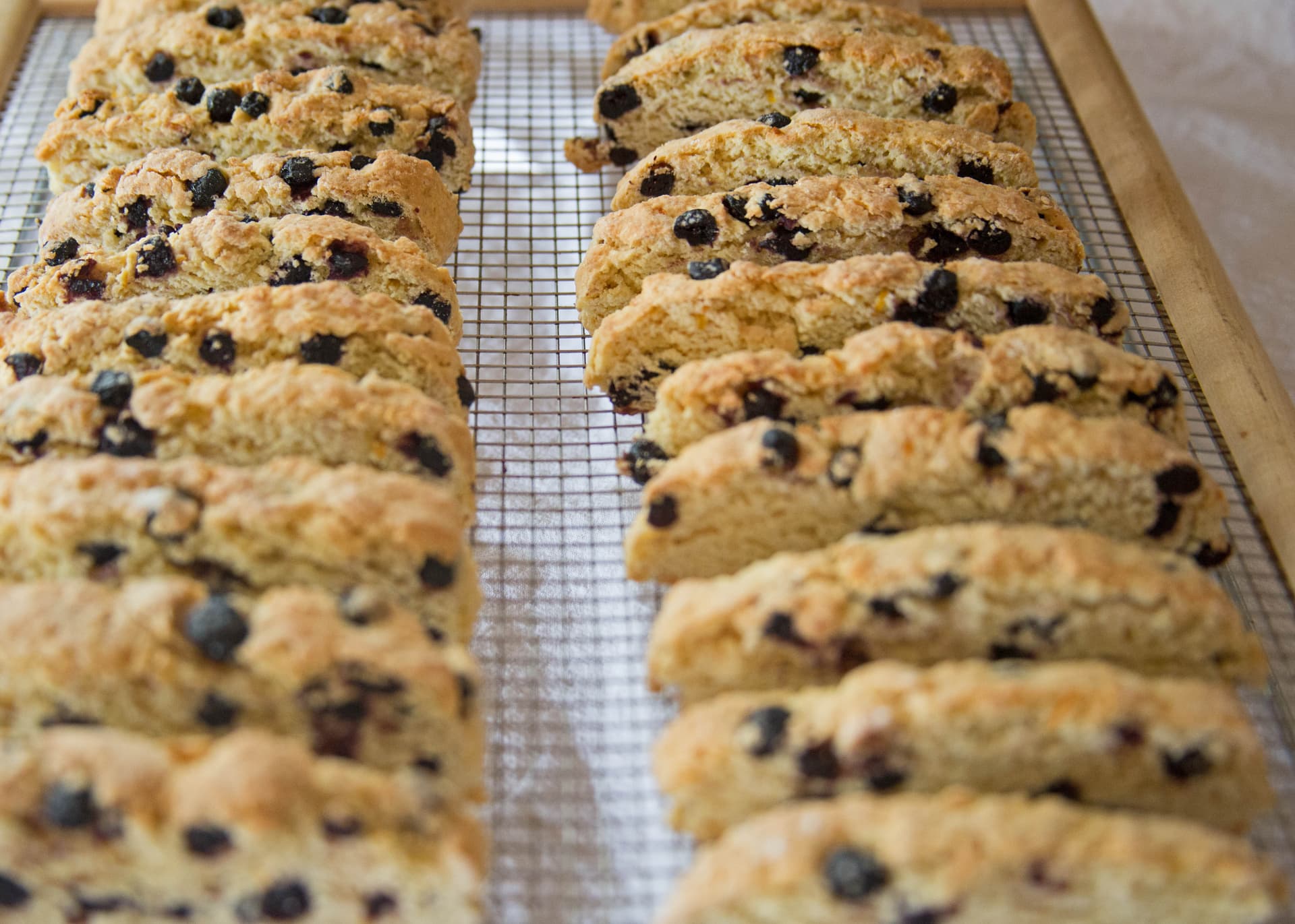 Meyer Lemon Biscotti with Dried Wild Blueberries
