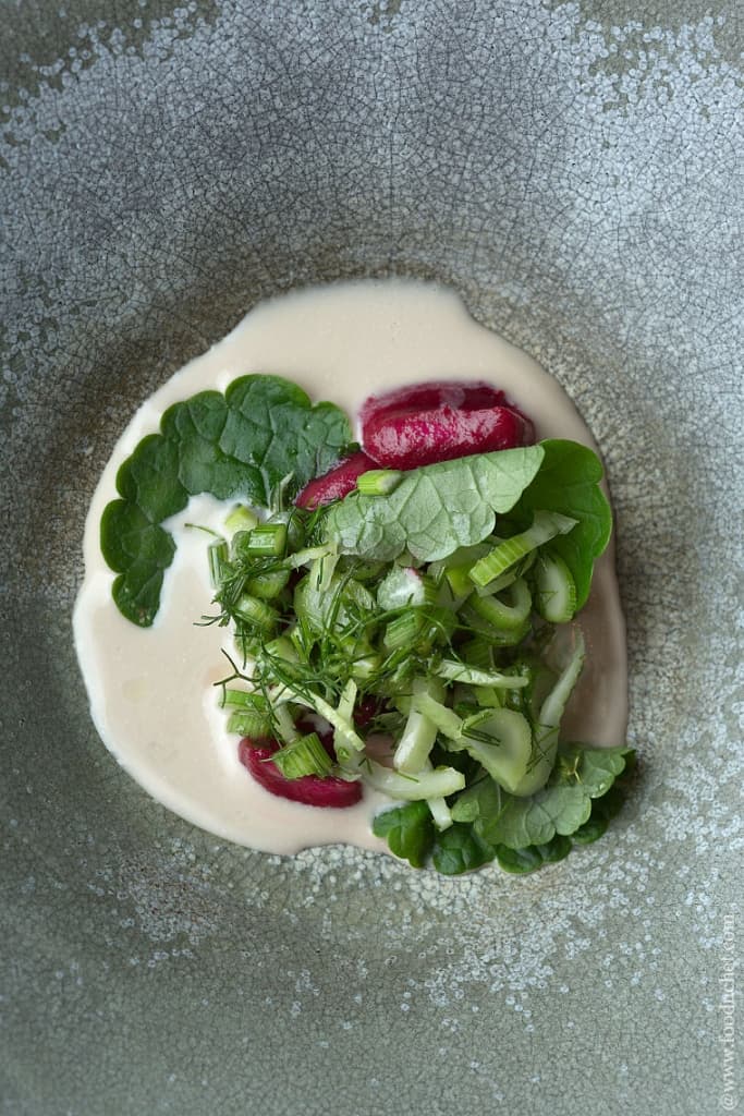 Cherries with Juniper and Yeast Cream