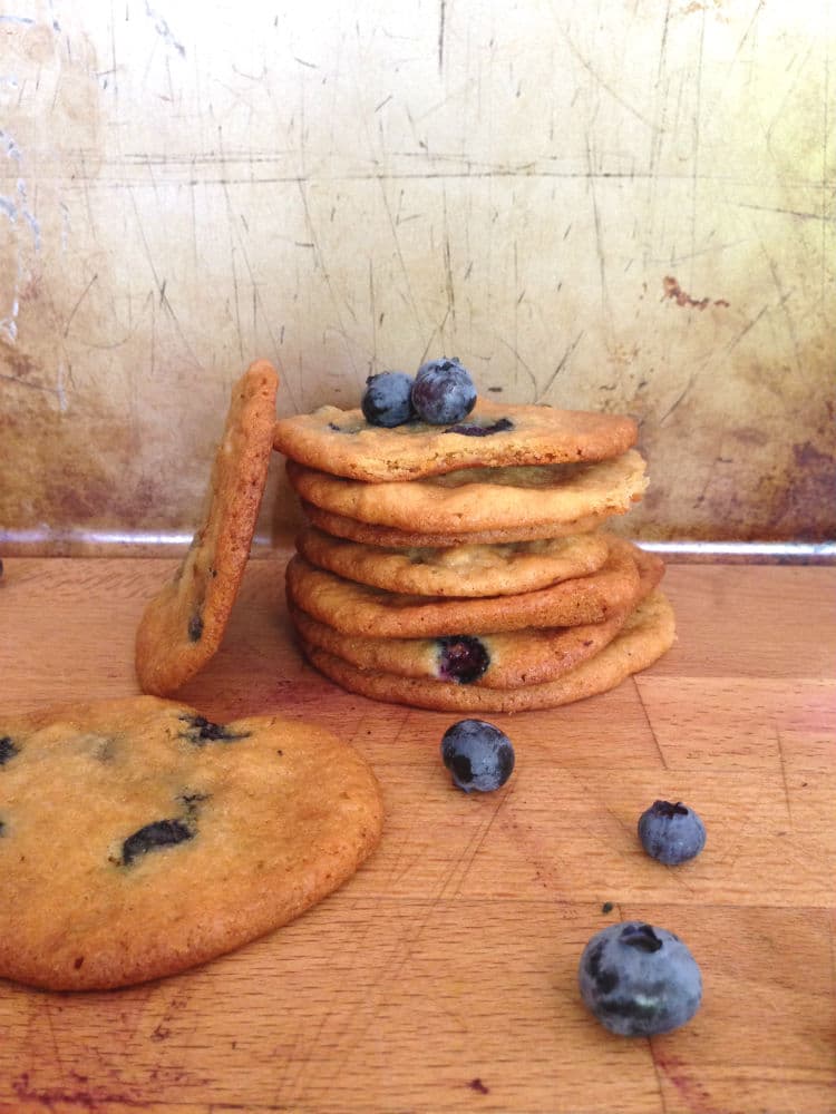 Amazing Blueberry Cookies