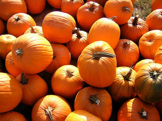 Pumpkins