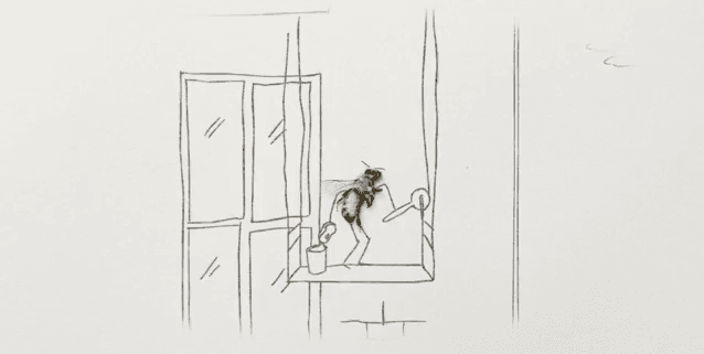 Capital Bee Ad Campaign