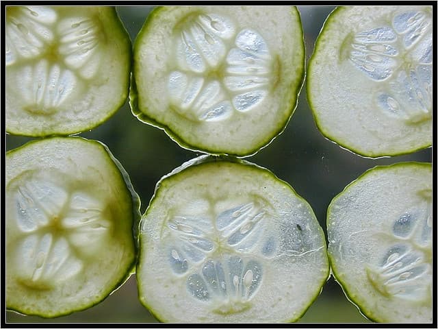 cucumber