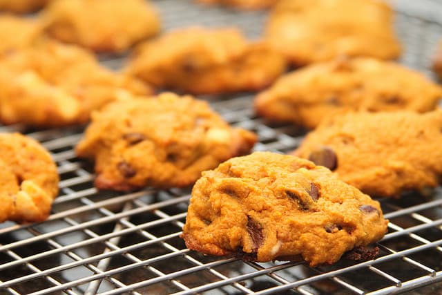 chocolate chip pumpkin cookies