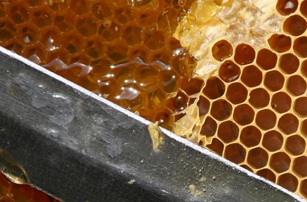 Honeycomb