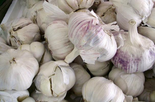 garlic cloves