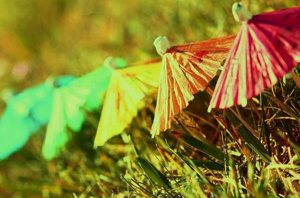 Cocktail Umbrellas 
