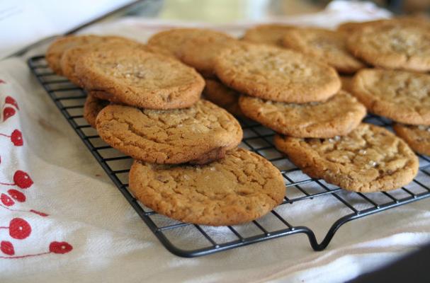 peanut butter cookie