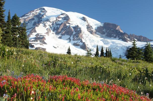 Mt. Rainier