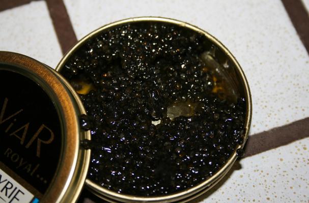 Caviar Speed Eating Contest
