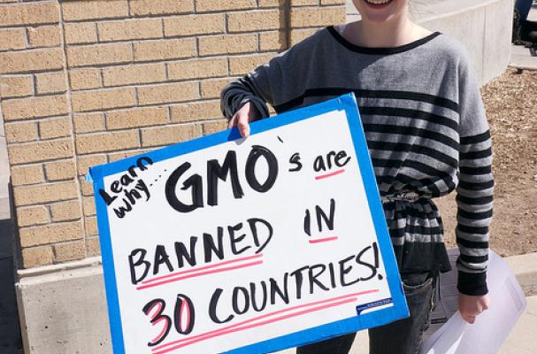 GMO