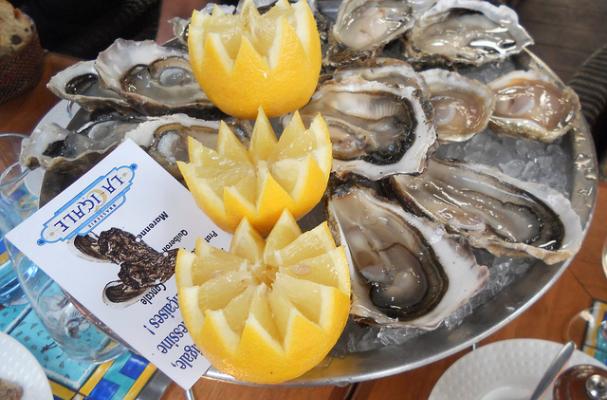 oysters